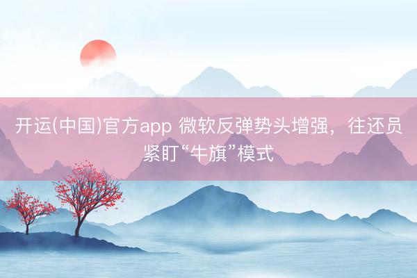开运(中国)官方app 微软反弹势头增强，往还员紧盯“牛旗”模式