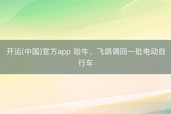 开运(中国)官方app 哈牛、飞鸽调回一批电动自行车